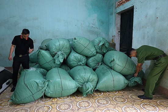 Lạng Sơn: Bắt giữ 1,3 tấn giun đất khô không nguồn gốc