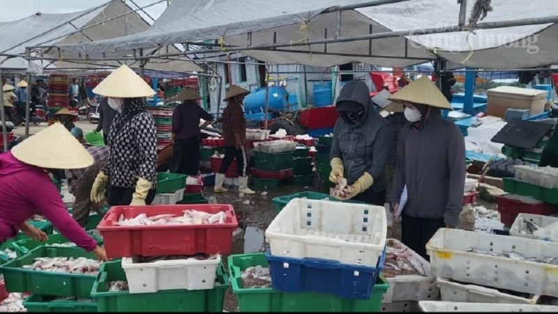 Thanh Hóa: Nghề khai thác, chế biến thủy sản giúp người dân phường Hải Bình thoát nghèo, làm giàu