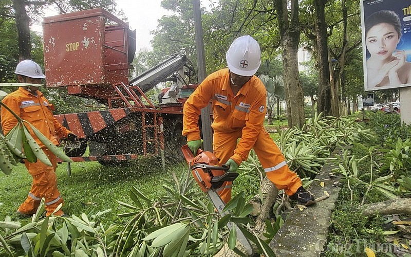 Nghệ An: Báo động tình trạng vi phạm hành lang an toàn lưới điện trước mùa mưa bão