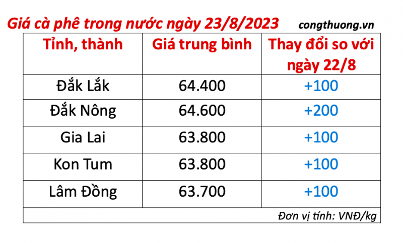 Giá cà phê hôm nay 23/8/2023: Giá cà phê trong nước tăng nhẹ