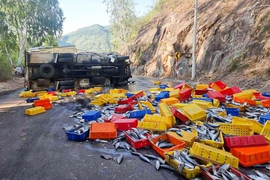 Bình Định: Xe tải chở cá tông vào vách núi, tài xế tử vong tại chỗ