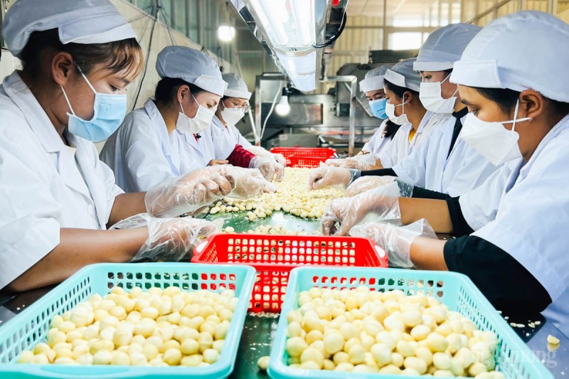 Bài 1: “Sức khỏe” của các thị trường xuất khẩu và những thách thức cho doanh nghiệp Việt Nam