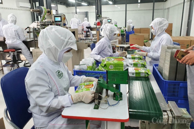 Bài cuối: Khuyến nghị nào dành cho doanh nghiệp xuất khẩu Việt Nam?