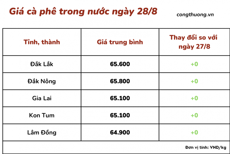 Giá cà phê hôm nay, ngày 28/8/2023: Giá cà phê trong nước bình ổn