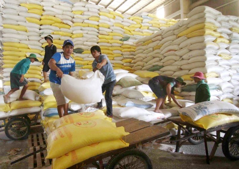 ช่วยเหลือเกษตรกรและธุรกิจท่ามกลางความผันผวนของตลาดข้าว