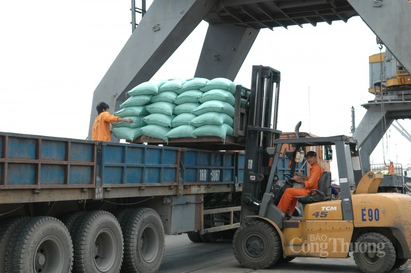 Hạ nhiệt, giá gạo xuất khẩu của Việt Nam vẫn neo ở mức rất cao