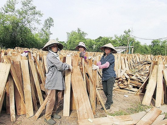 Quảng Trị: Hoạt động khuyến công nâng cao vai trò phát triển công nghiệp nông thôn