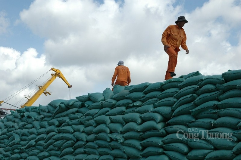 Xuất khẩu gạo tăng 36,1%, đạt 3,17 tỷ USD