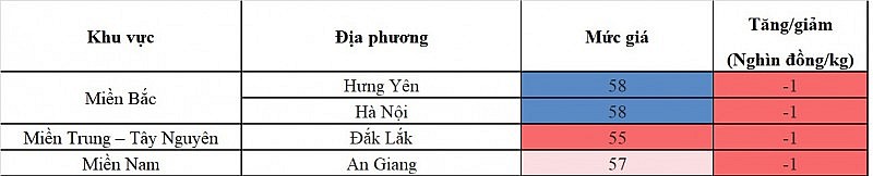 Giá heo hơi hôm nay ngày 30/8/2023: Ghi nhận mức thấp nhất 55.000 đồng/kg