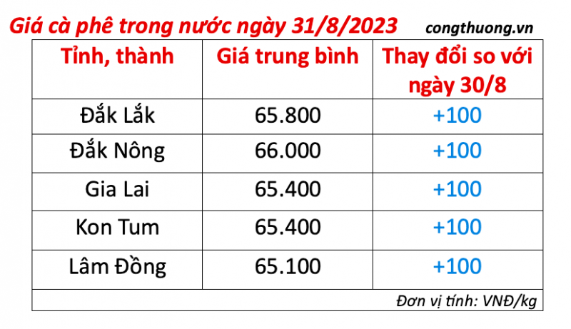 Giá cà phê hôm nay, ngày 31/8/2023: Giá cà phê trong nước tiếp đà tăng