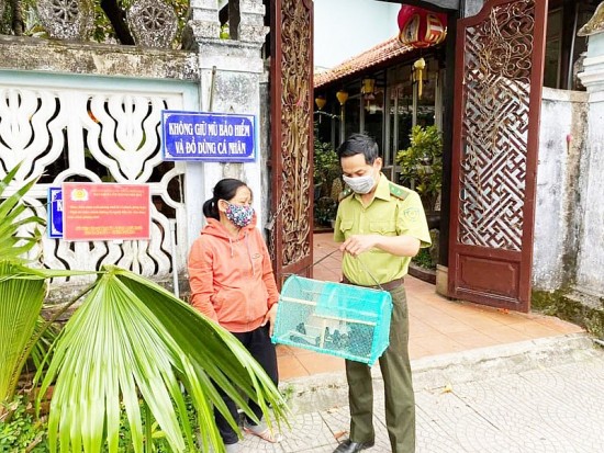 Thừa Thiên Huế: Khuyến cáo không mua, bán chim hoang dã để phóng sinh