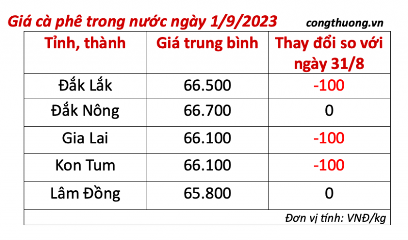 Giá cà phê hôm nay, ngày 1/9/2023: Giá cà phê trong nước quay đầu tăng mạnh