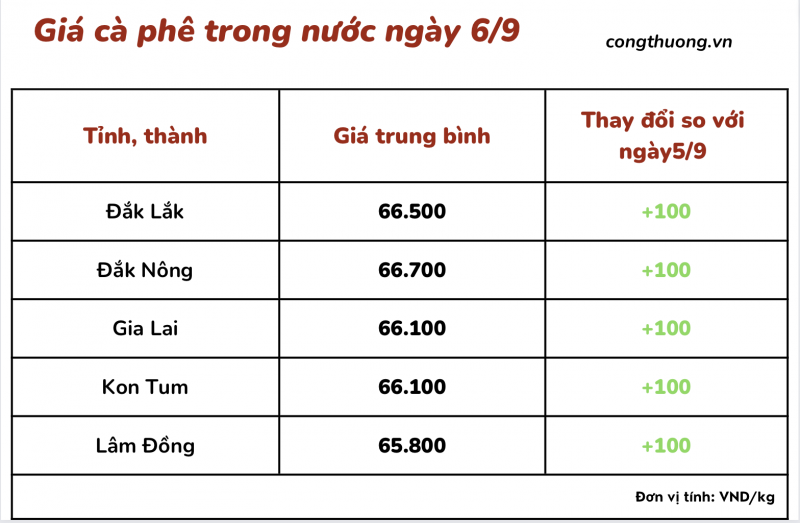 Giá cà phê 6/9, giá cà phê trong nước ngày 6/9/2023