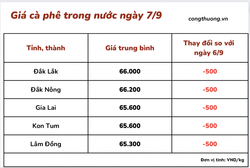 Giá cà phê 7/9, giá cà phê trong nước ngày 7/9/2023