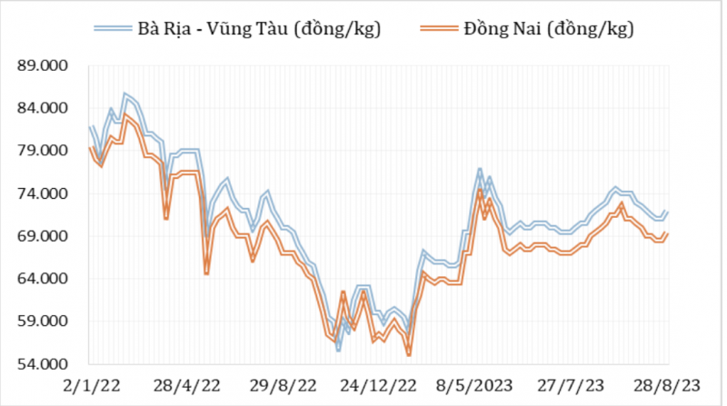 Diễn biến giá hạt tiêu đen tại thị trường nội địa từ đầu năm 2022 đến nay (Nguồn: Hiệp hội Hạt tiêu Việt Nam)