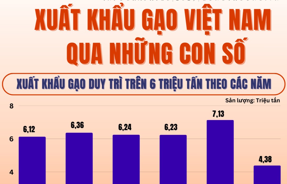 Infographics | Xuất khẩu gạo của Việt Nam đột phá tại nhiều thị trường