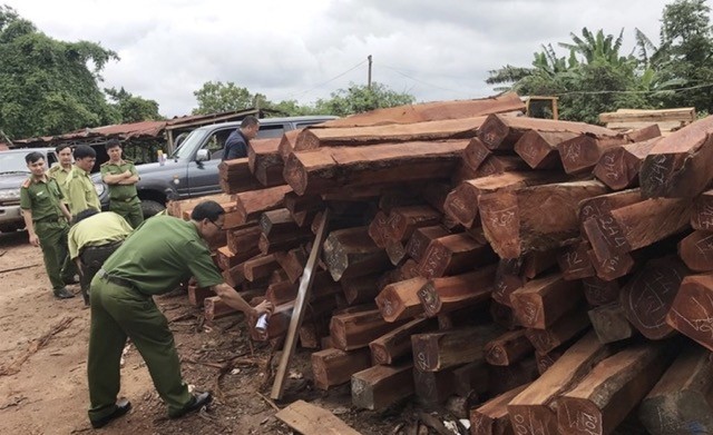 Vụ án gỗ trắc ở Quảng Trị: Toà bác đơn kiện Hải quan của doanh nghiệp