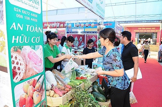 Hình thành ngành công nghiệp tái chế: Giải pháp cốt lõi giải quyết tình trạng ô nhiễm rác thải nhựa