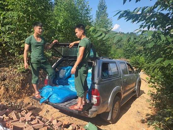 Điểm tin Chống hàng giả ngày 8/9: Tiêu hủy nội tạng đông lạnh; tịch thu hàng trăm xe đạp điện