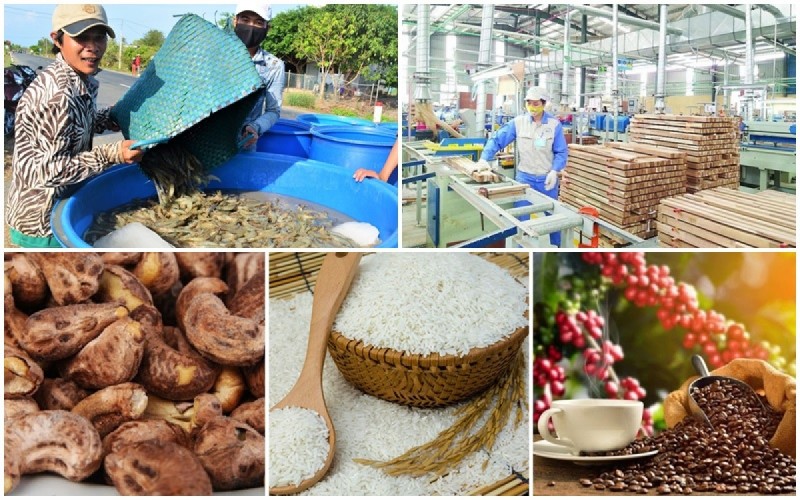 Xuất khẩu nông sản sang EU trong bối cảnh mới: Cách nào tận dụng ưu đãi từ EVFTA?