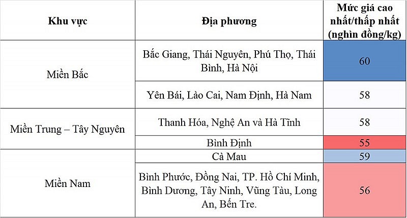 Giá heo hơi hôm nay ngày 11/9/2023: Ghi nhận mức thấp nhất 55.000 đồng/kg