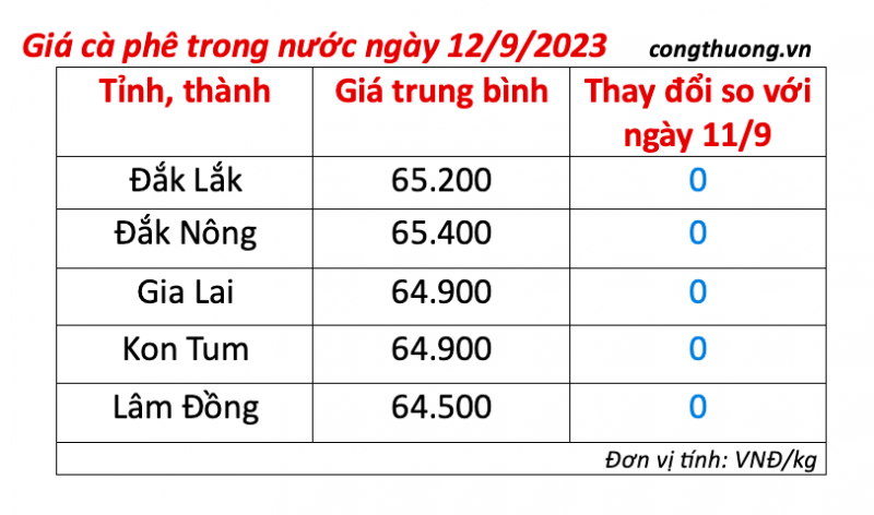 Giá cà phê hôm nay, ngày 12/9/2023: Giá cà phê trong nước ổn định