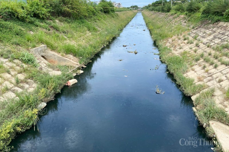 Đà Nẵng: Khẩn trương xử lý hàng tấn cá chết nổi kín mặt kênh Đa Cô