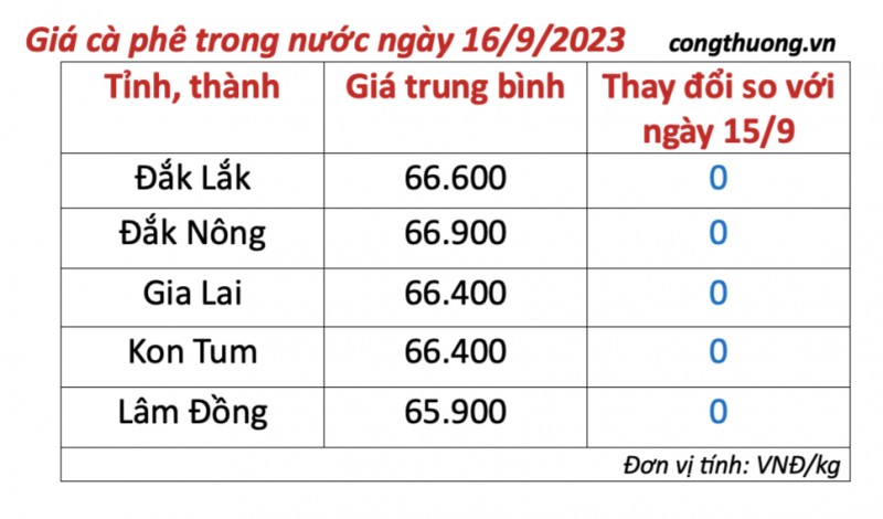 Giá cà phê hôm nay, ngày 16/9/2023: Giá cà phê trong nước áp sát 70.000 đồng/kg