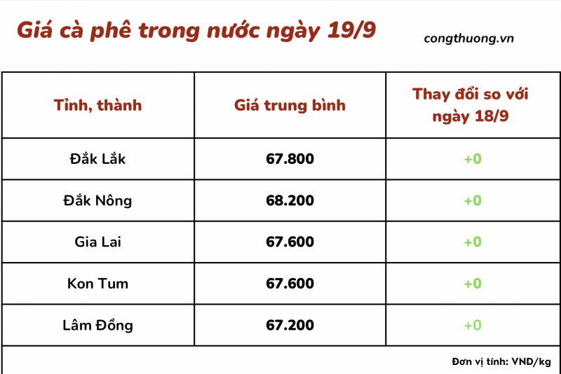 Giá cà phê 19/9, giá cà phê trong nước ngày 19/9/2023