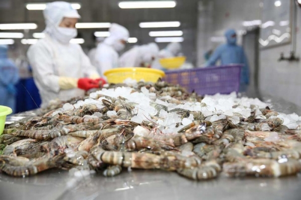 對美國和中國的蝦子出口取得正面成果