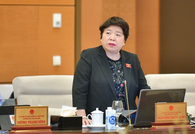 Chủ nhiệm Ủy ban Xã hội Nguyễn Thúy Anh trình bày báo cáo thẩm tra