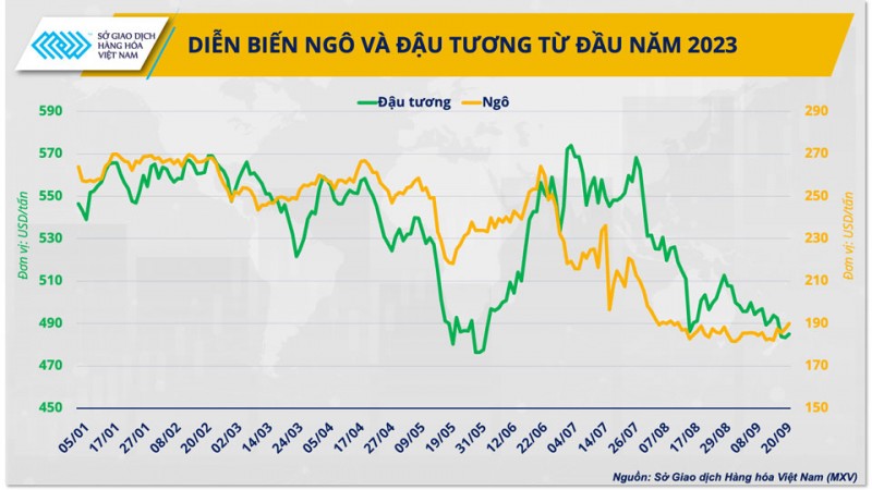 Cơ hội cho ngành chăn nuôi Việt Nam sau chuyến thăm lịch sử của Tổng thống Mỹ