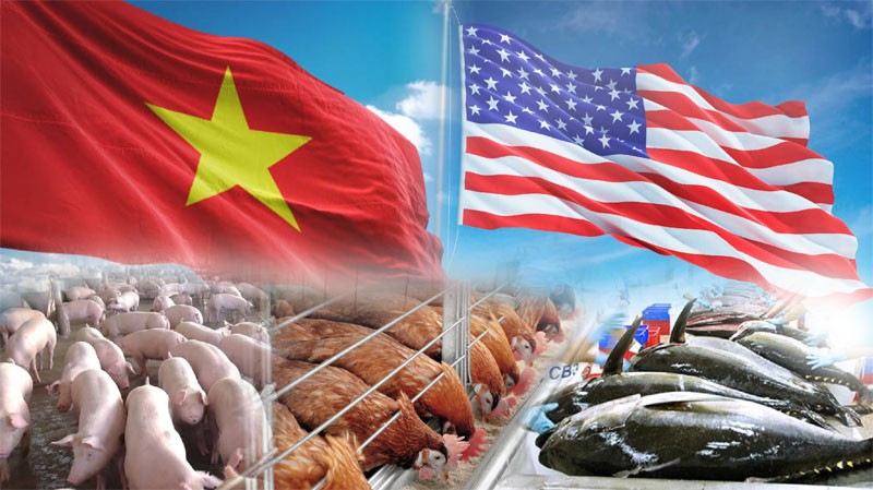 Cơ hội cho ngành chăn nuôi Việt Nam sau chuyến thăm lịch sử của Tổng thống Mỹ