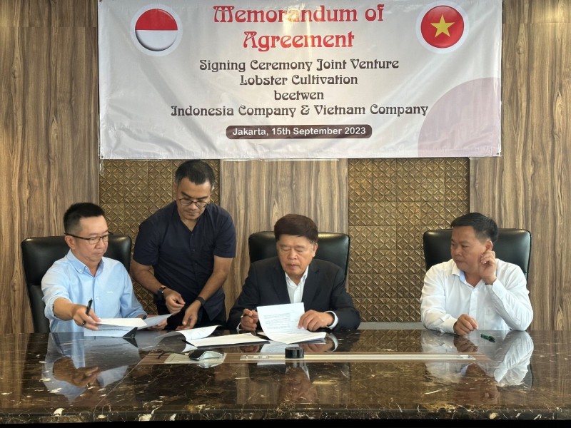 Doanh nghiệp Việt Nam - Indonesia hợp tác đầu tư nuôi tôm hùm