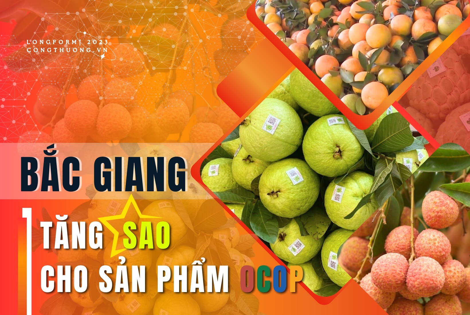 longform bac giang tang sao cho san pham ocop