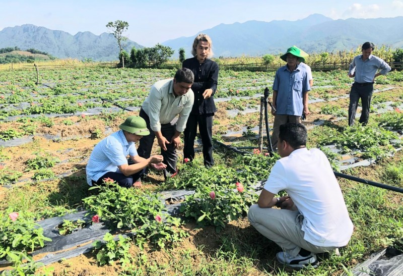 Huyện A Lưới (Thừa Thiên Huế): Phát triển cây dược liệu hướng đến giảm nghèo bền vững