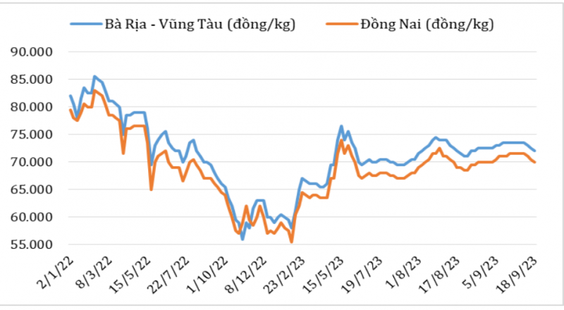 Diễn biến giá hồ tiêu đen tại thị trường nội địa năm 2022 – 2023 Nguồn: Hiệp hội Hồ tiêu Việt Nam