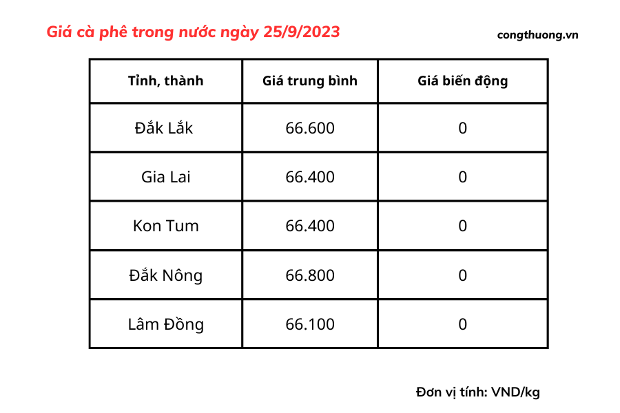 Giá cà phê hôm nay, ngày 25/9/2023: Giá cà phê trong nước