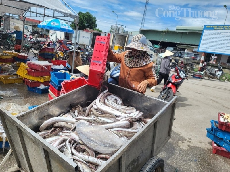 Thanh Hóa: Doanh nghiệp chế biến thủy, hải sản kỳ vọng bứt phá những tháng cuối năm
