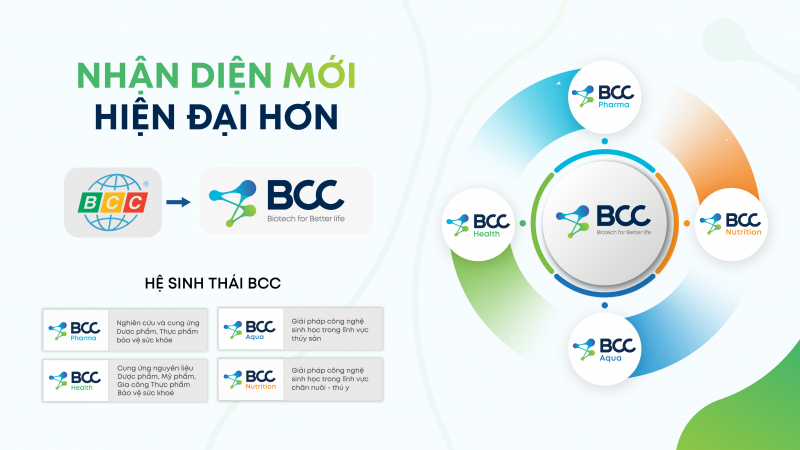 Bộ nhận diện thương hiệu mới của BCC
