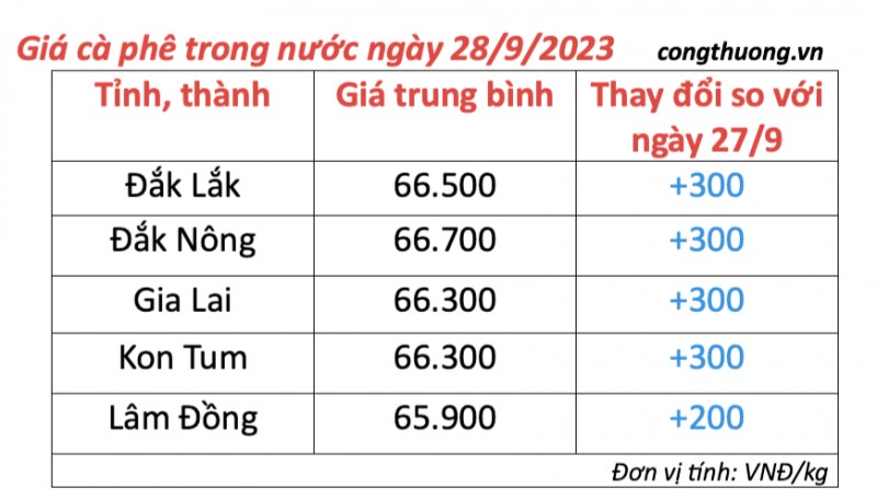 Giá cà phê hôm nay, ngày 28/9/2023: Giá cà phê trong nước