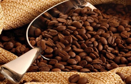 Giá cà phê mới nhất ngày 28/9/2023: Thị trường trong nước tăng đến 300 đồng/kg