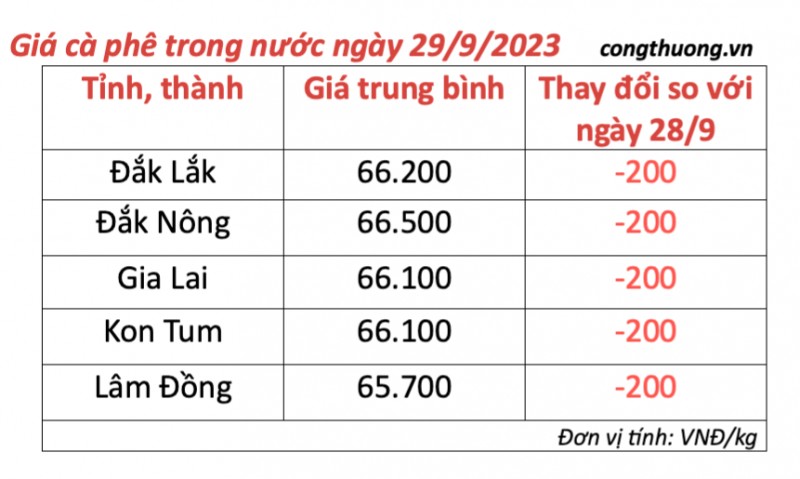 Giá cà phê hôm nay, ngày 29/9/2023: Giá cà phê trong nước