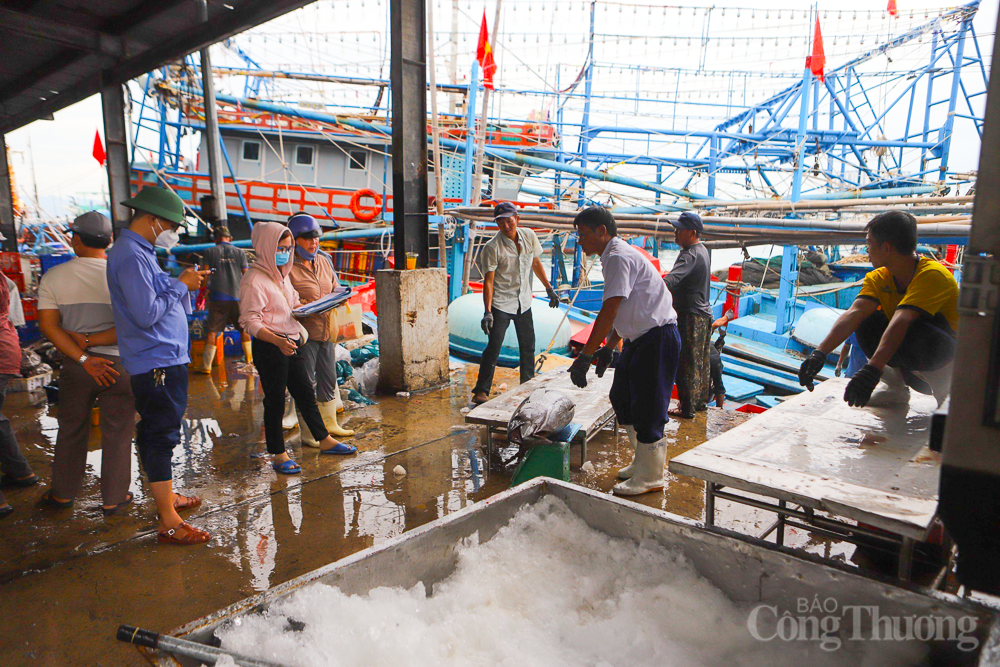 Quyết tâm cao gỡ “thẻ vàng” IUU trong năm 2024