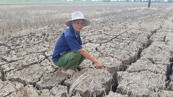 Vì sao 5 triệu người dân đồng bằng sông Cửu Long đang thiếu nước sinh hoạt?