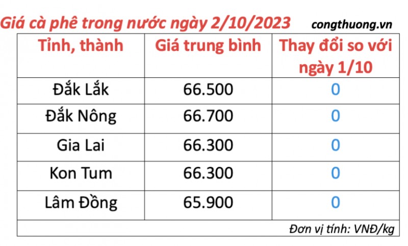 Giá cà phê hôm nay, ngày 2/10/2023: Giá cà phê trong nước