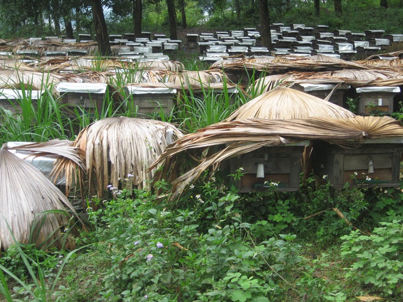 Hà Giang: Phát triển bền vững các sản phẩm OCOP