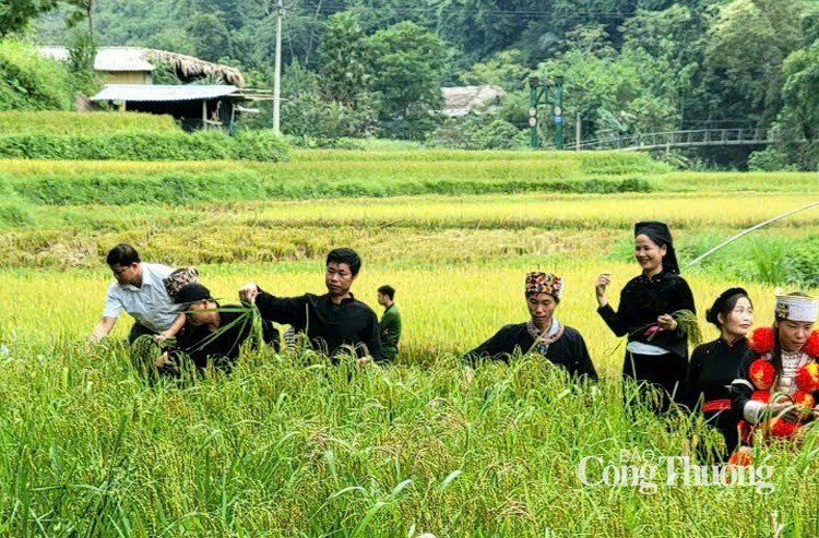 Ngọt ngào hương cốm Lâm Bình