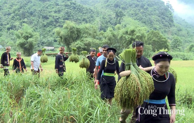 Ngọt ngào hương cốm Lâm Bình