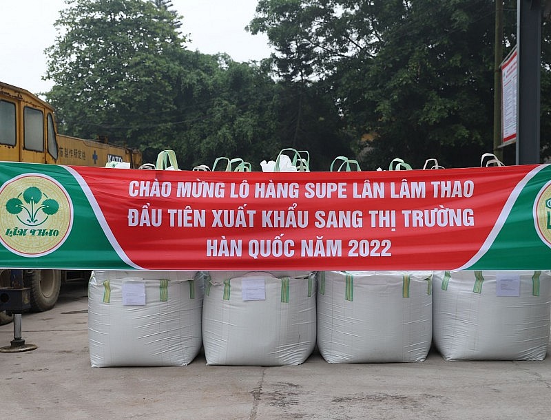 Supe Lâm Thao và khát vọng đưa phân bón Việt chinh phục thị trường quốc tế